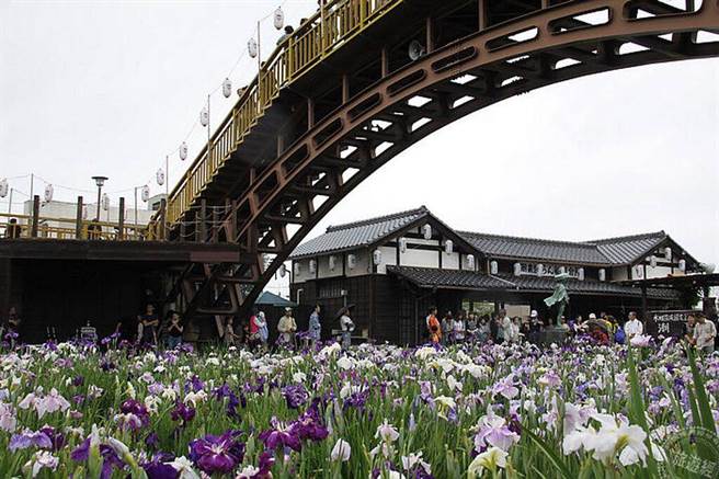 拱挢和古民居与菖浦花美妙结合成为潮莱菖浦祭的经典美