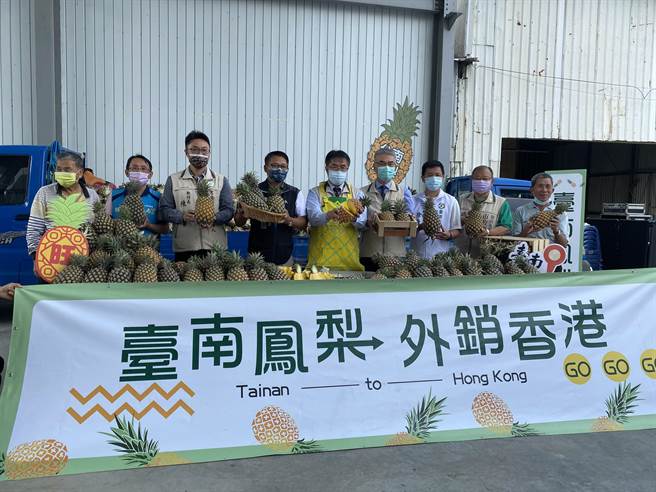 台南關廟鳳梨今天外銷香港10噸。（曹婷婷攝）