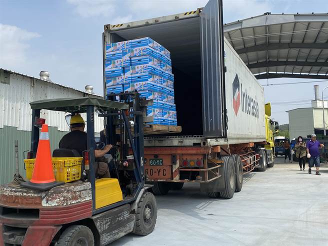 台南關廟鳳梨今天外銷香港10噸。（曹婷婷攝）