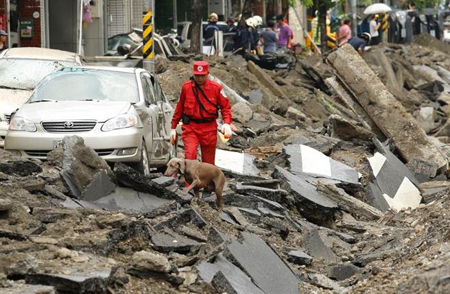 2014年8月2日，高雄气爆意外发生第2天，中华民国搜救总队持续在灾区寻找失踪的受难者；一名队员带着搜救犬行走在被气爆损毁的柏油路上。（中时资料照 陈振堂摄） 