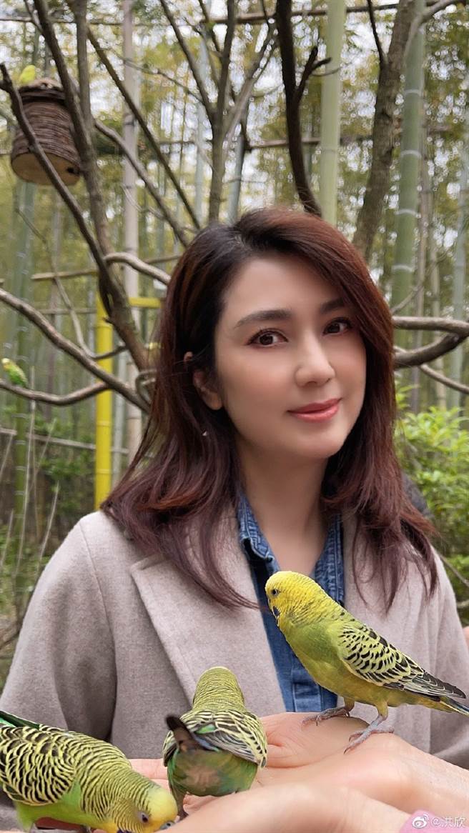 洪欣難得曬近照，不過她臉蛋明顯發福、圓一圈。（圖／取材自洪欣微博）