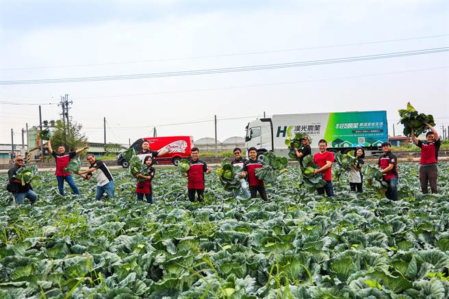 印地安重机各区经销老板，参与公益不遗余力，亲自下田协助採收高丽菜。（印地安重机提供）