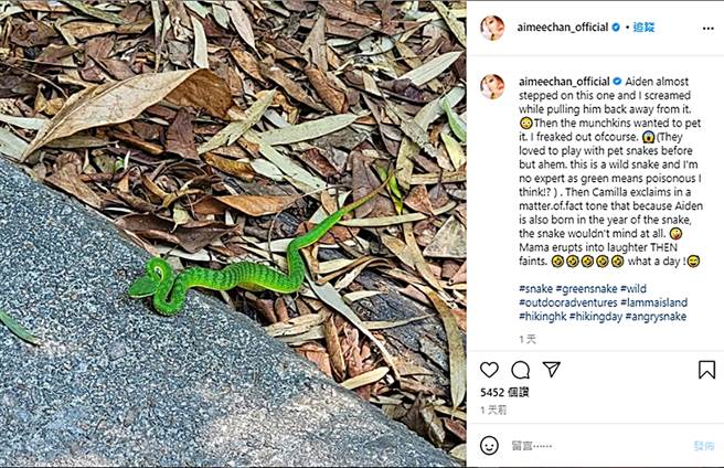 陳茵媺分享爬山遇到毒蛇。（圖／翻攝自aimeechan_official IG）