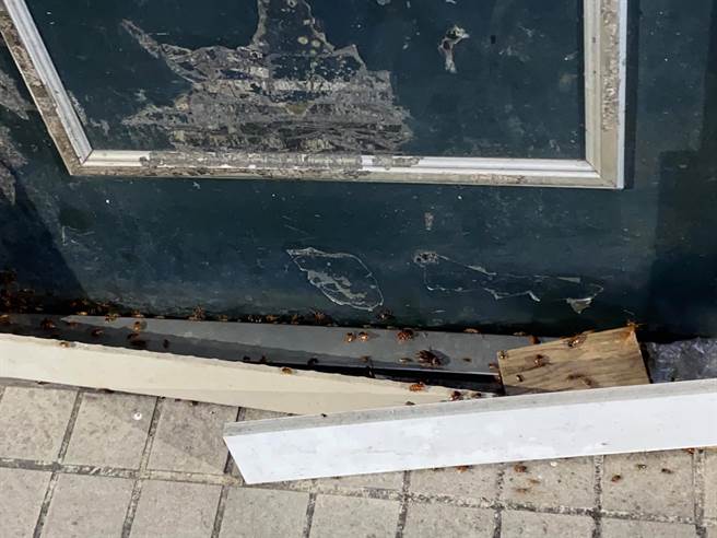 一名居住在中和的女子透露，邻居家很脏乱，门缝中溢出蟑螂军团，让人看了头皮发麻，忍不住作呕。（图／翻摄自我是中和人）