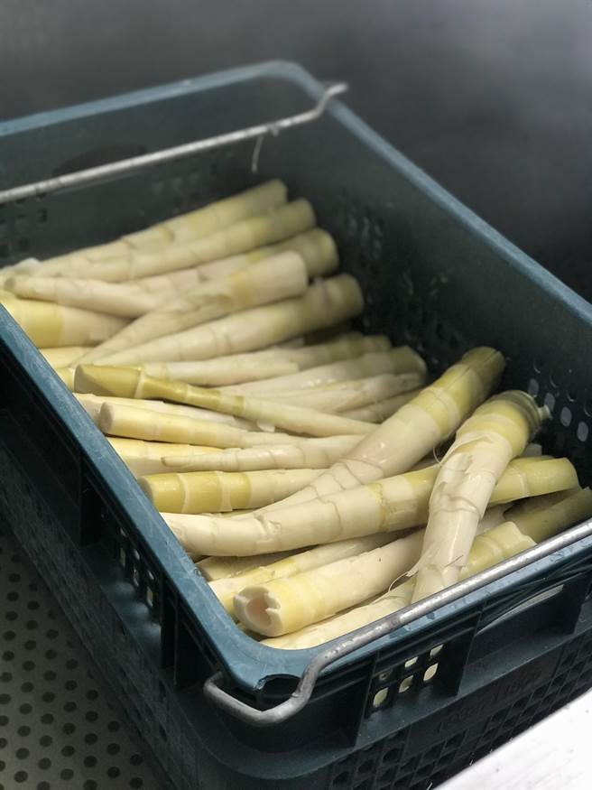 苗栗县泰安乡盛产桂竹笋，但今年受乾旱缺水影响，桂竹笋产量锐减，图为新鲜桂竹笋杀青处理。（苗栗县政府提供／巫静婷苗栗传真）