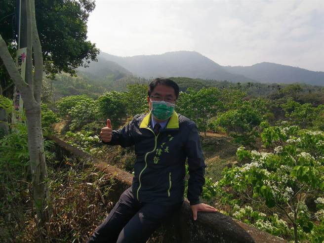 台南市府10日於梅嶺舉辦台南客家桐花祭，市長黃偉哲上山賞花。（劉秀芬攝）