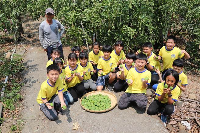 小朋友们亲手将青梅与青芒果腌渍成美味珍馐。(曹婷婷摄)