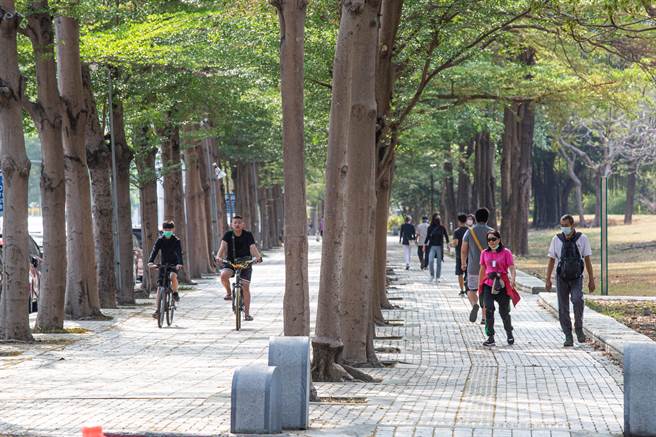 高雄轻轨二阶美术馆路段，将于人行道上铺设双向铁轨，居民忧心休憩空间遭压缩，护树团体也担心三排大树根系受影响。（袁庭尧摄）