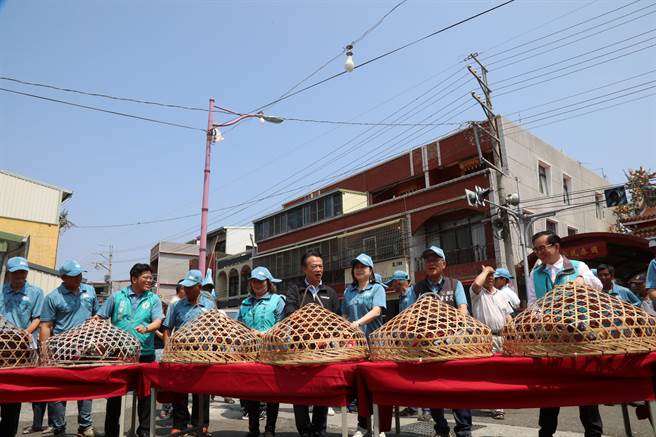 嘉义县义竹鸽笭文化季今11日开笼起飞，今年赛鸽笭各村对决时间从4月17日至5月21日止，每村对决为期约20天。（吕妍庭摄）