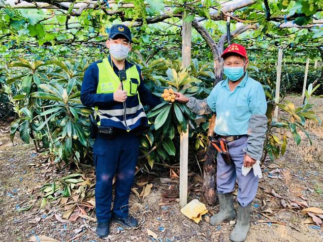 新社分驻所针对辖内枇杷果园加强「护农」勤务。（东势警分局提供／陈淑娥台中传真）