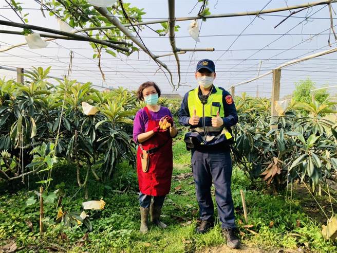 新社分驻所针对辖内枇杷果园加强「护农」勤务。（东势警分局提供／陈淑娥台中传真）