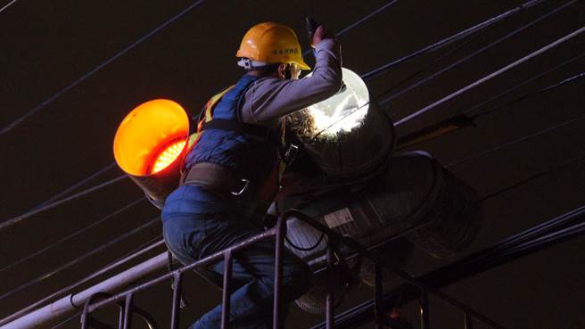 鸟妈妈因惊吓过度扬长而去，留下2颗「孤儿鸟蛋」。（新北市动保处提供）