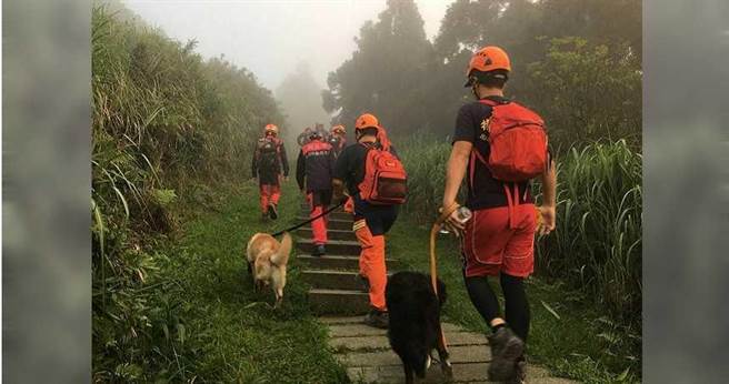 新北特搜大队在921大地震后成立，国内的每场天灾人祸可说无役不与，救出的患者更是多不胜数。（图／新北市消防局提供）