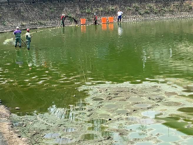 台南人淚崩止不住湖乾百年首見 赤山龍湖巖魚蝦全死了 生活 中時新聞網