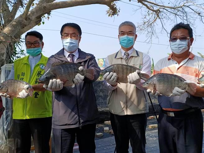 台南市長黃偉哲（左二）鼓勵大眾吃鳳梨之餘，也要支持台南出產的優質台灣鯛。（張毓翎攝）