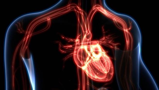 急性心肌梗塞患者約有7-8％會產生心因性休克，是左心室衰竭造成、最嚴重的臨床表現，死亡率相當高。(示意圖/Shutterstock)