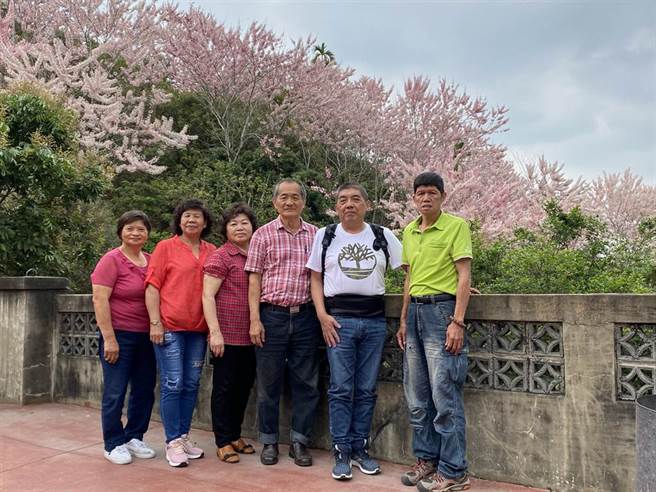 叶志纮与友人在自家庭院前合照，背景是花旗木花海。（张亦惠摄）
