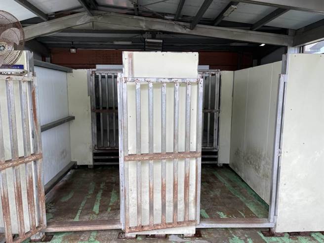 议员彭俊豪感嘆桃园搜救犬住的是生锈栅栏房，训练场地狭小且是老旧顶楼露台的硬地，不说还以为是收容所。（彭俊豪提供／蔡依珍桃园传真）