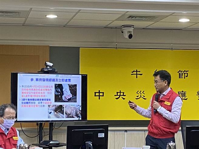 林口某肉牛場出現8頭牛隻皮膚有結痂且發燒，經畜衛所檢驗確診為台灣本島首例牛結節疹案例，新北市動保處已將8頭發病牛隻撲殺。(李柏澔攝)