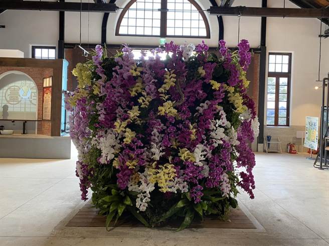 被游客誉为水道「蜷川实花墙」的水道博物馆兰花风景。（曹婷婷摄）