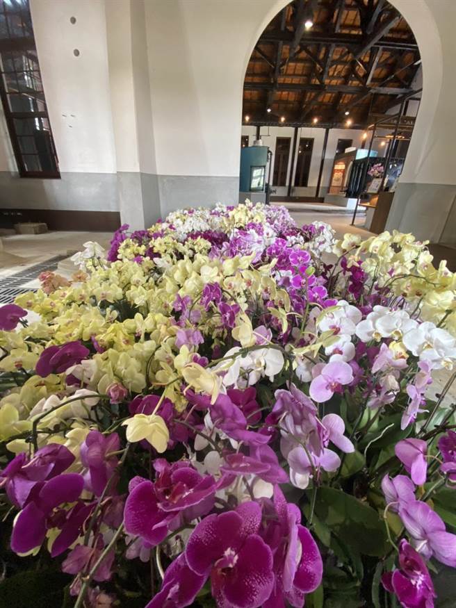 被游客誉为水道「蜷川实花墙」的水道博物馆兰花风景。（曹婷婷摄）