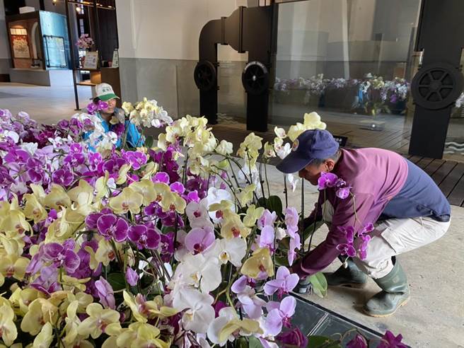 4月17日、18日只要持全票入园民眾，就能兑换人1盆兰花，每天将送出150盆。（曹婷婷摄）