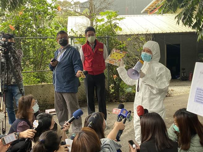 新北市动保处杨淑芳表示，15日紧急扑杀8头牛、进行焚烧、掩埋处置，并进行辖区11场全面访视，牛只无异常状况(戴上容摄)