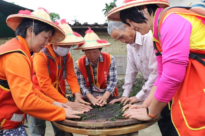 深坑農會產銷班長蔡金來（右2）教婦女如何將茶菁揉成條索狀。（葉書宏攝）