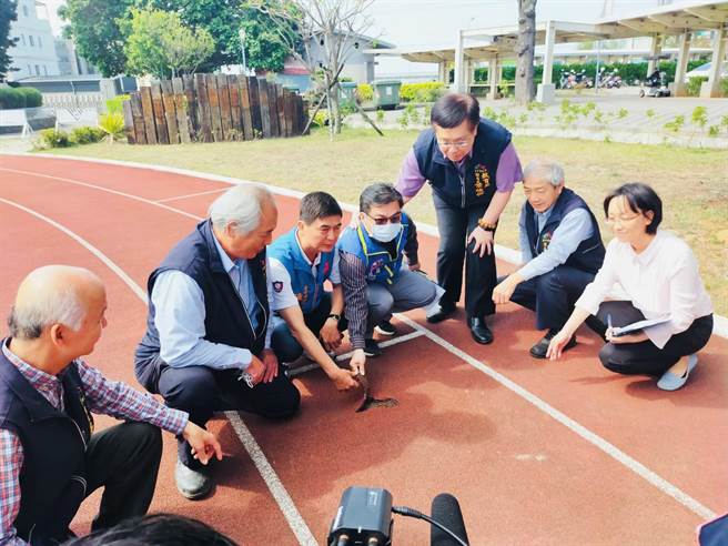 台中市后里区月眉国小的操场PU跑道超过18年未整修，出现龟裂、掏空及不平整等问题。（王文吉摄）