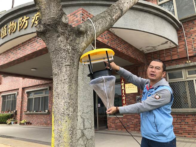 金門縣防疫所提供農民防疫資材使用，包括布放捕蠅板、捕蚊燈在內，牧場整體防疫狀況良好之一。（李金生攝）