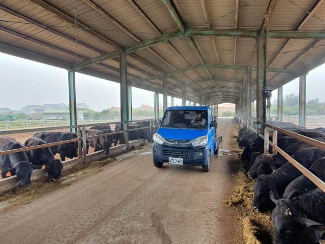 牛結節疹疫情在金門獲得良好控制，迄未再出現新增病例。（金門縣防疫所提供）