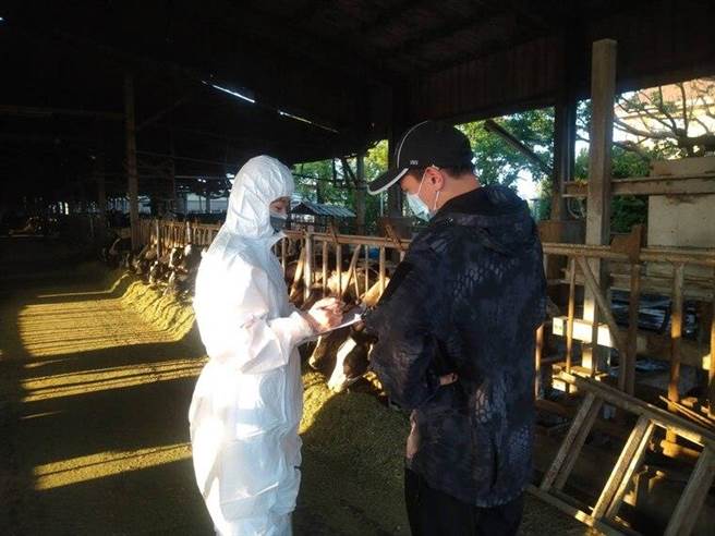 台南市动保处访视调查养牛场。(台南市政府提供／曹婷婷台南传真)