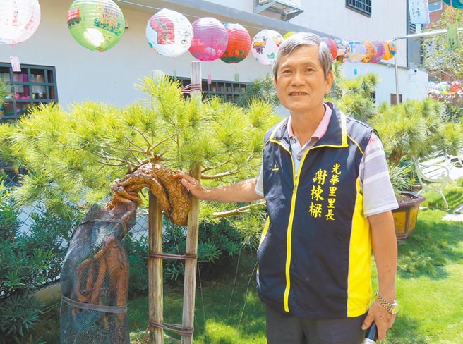 彰化市光华里长谢栋梁号召里民组成志工队，自发投入管理，更自掏腰包，栽植了数十株大型松柏盆栽，让人在闹区中遇见了幽静。（吴敏菁摄）