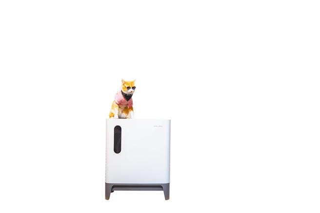 Coway推出了针对宠物家庭及大坪数空间而设计的全新解决方案Coway AP2318P绿净力三重防御空气清净机，猫界小鲜肉阿蹼仔到现场体验。（Coway提供）