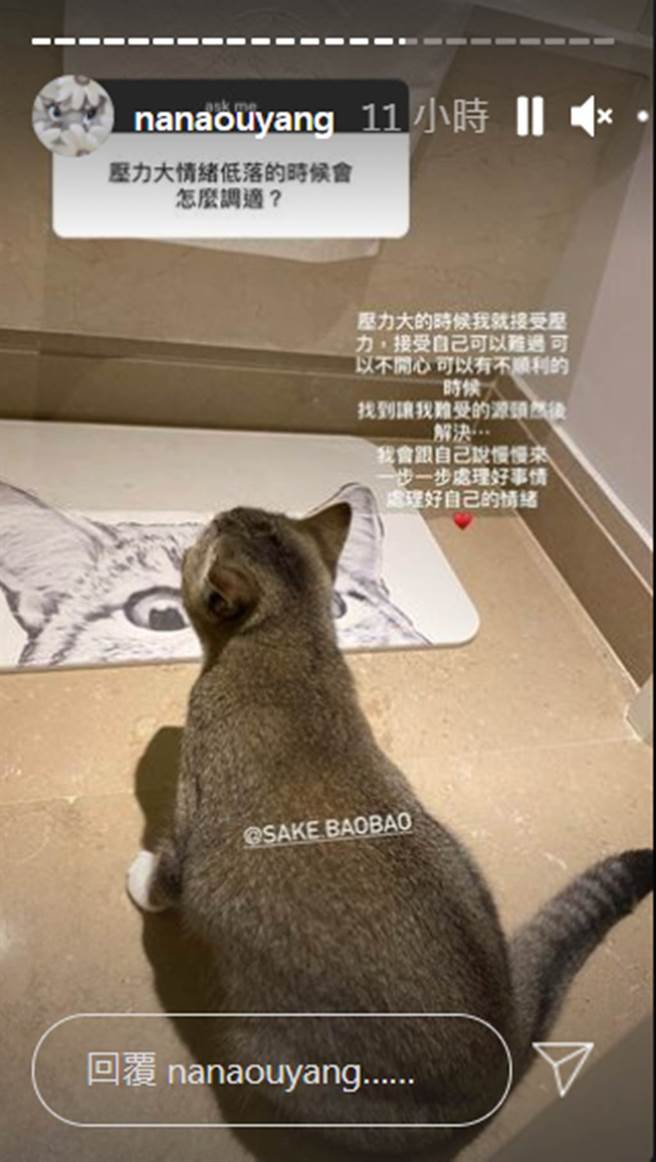 欧阳娜娜面对网友提问做出回应。（图／nanaouyang IG）