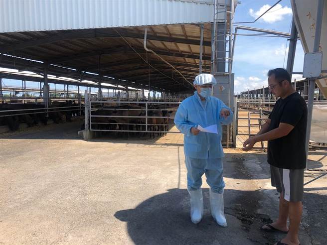 嘉義縣防疫總動員，在家畜所、各公所獸醫師、養牛產銷班班長及各養牛戶全力配合下，不到1天半就全數完成疫調。（嘉縣家畜所提供／張亦惠嘉縣傳真）