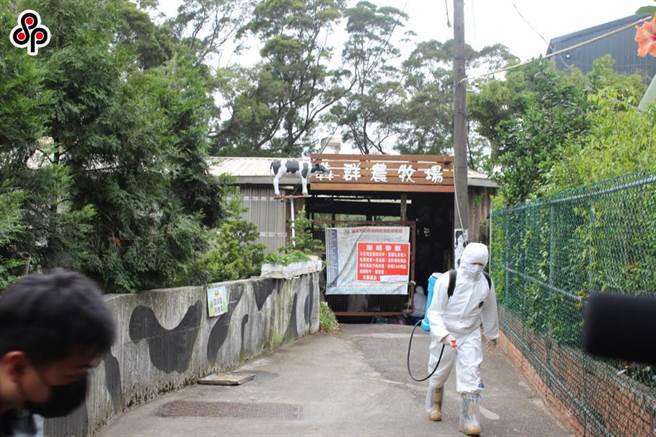 近日我国传出牛结节疹确诊，农委会已开始为牛只施打疫苗。（报系资料照）