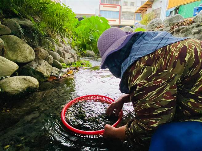 全台面临缺水问题，台东县关山镇丰泉里地下水源终年不断。（民眾提供／蔡旻妤台东传真）