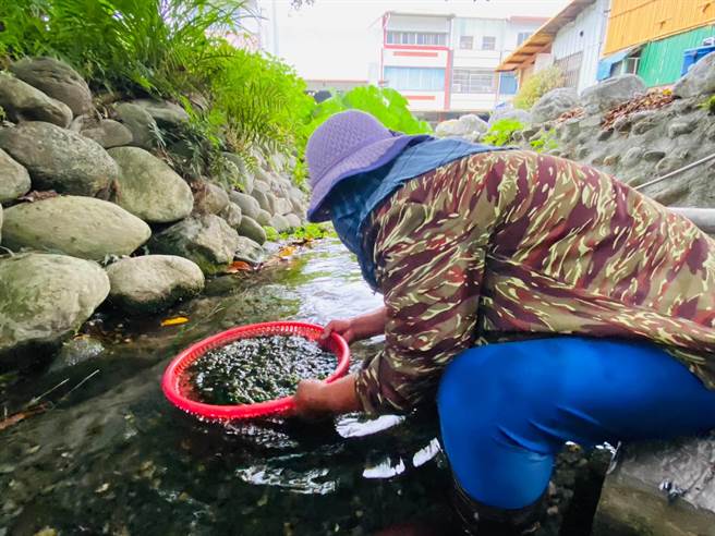 全台面临缺水问题，台东县关山镇丰泉里地下水源终年不断。（民眾提供／蔡旻妤台东传真）