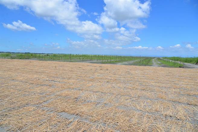 云林县政府推动浊水溪扬尘改善等措施有成，获空气品质改善评比特优。（云林县政府提供／张朝欣云林传真）