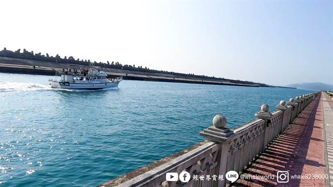 太魯閣號事故6歲罹難者 楊小妹花蓮海葬(圖/取自臉書鯨世界賞鯨)