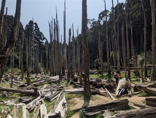 受乾旱影响，忘忧森林的水洼潭也乾凅。（图／网友翁健堡授权提供）