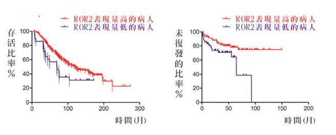 实验室与临床研究显示，活化关键基因「ROR2」，可抑制摄护腺癌转移。(图/国家卫生研究院细胞及系统医学研究所副研究员褚志斌提供）