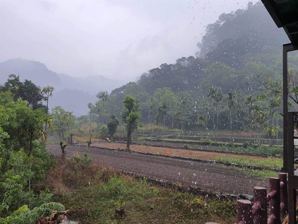 屏東霧台雨下1小時族人高呼 終於盼到大雨 生活 中時