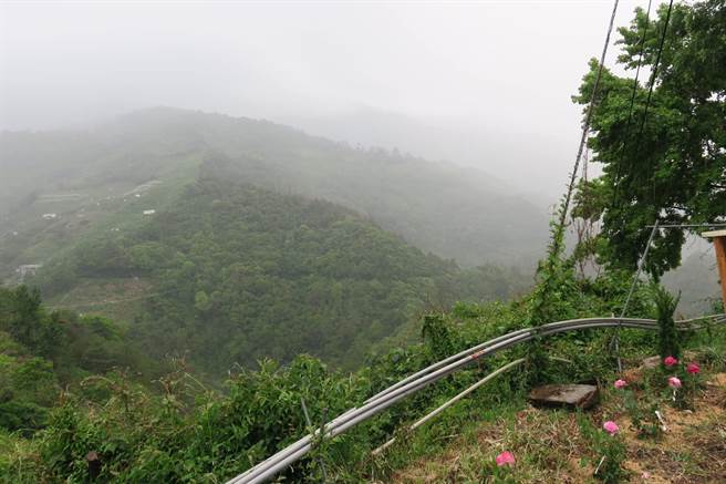 梨山終於降下大雨嘩啦30分鐘果農笑了 生活 中時