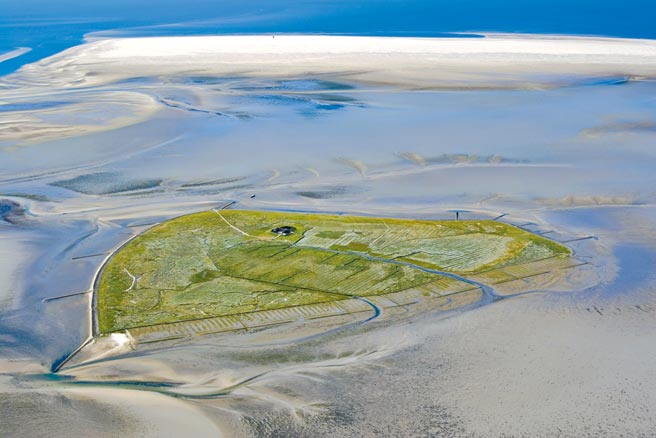 ORIS护育世上最大潮间带Dat Watt，当地生态丰富。（ORIS提供）