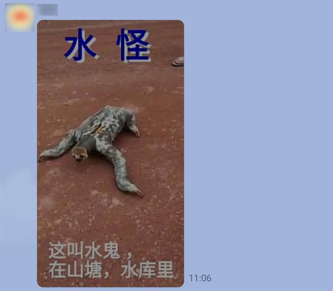 近来网路疯传一支「水鬼」影片，台北市立动物园查核后辟谣。（图／台湾事实查核中心）