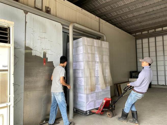 屏东石斑鱼再度进军美国市场。（图／屏东县政府提供） 