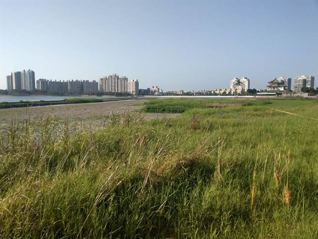 有「西湖美景」之称的高雄着名观光胜地澄清湖近日乾涸见底，不但没有水，还长出茂密杂草，此外，地表更是出现龟裂、沙洲裸露，一眼望去有如一片大草原。（自来水公司第七区管理处提供／林雅惠高雄传真）