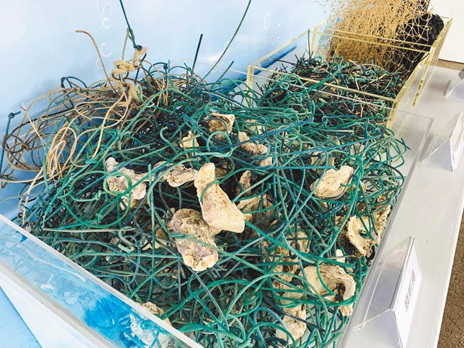 台湾化学纤维股份有限公司为扩大海洋废弃物用利用，把嘉义沿海常见的蚵绳回收还原再制成布料。（吕妍庭摄）